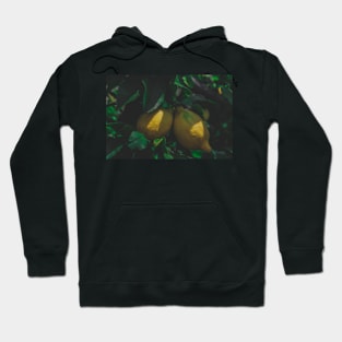 Limone Lemons Hoodie